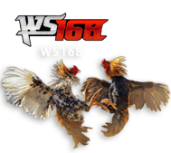 ws168 TUNAI4D